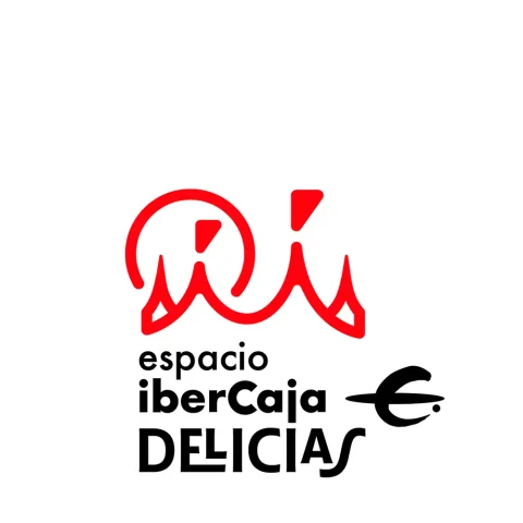 Espacio Ibercaja Delicias