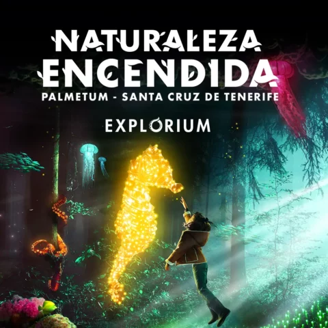 Naturaleza Encendida – Explorium (Tenerife)