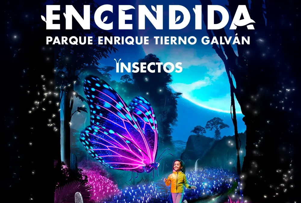 Naturaleza Encendida – Insectos (Madrid)