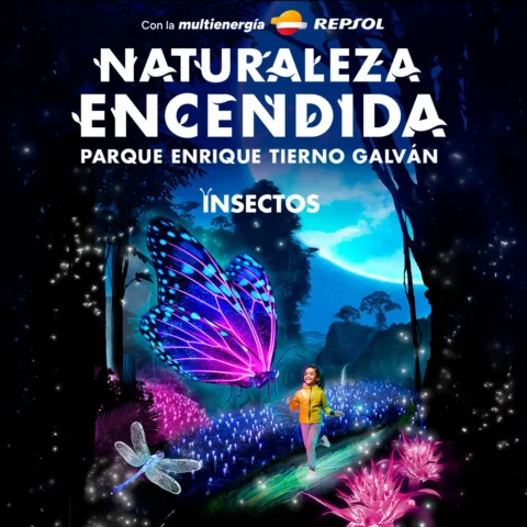 Naturaleza Encendida – Insectos (Madrid)