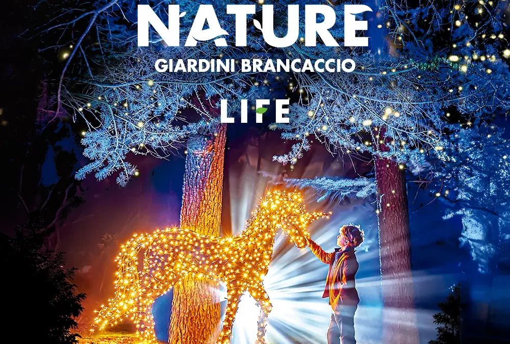 Lights In Nature – Life (Rome)