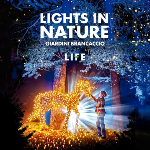 Lights In Nature – Life (Rome)