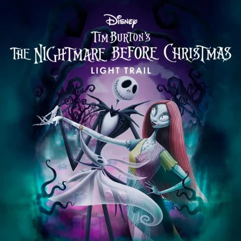 Disney® Tim Burton’s The Nightamare before Christmas – Light Trail