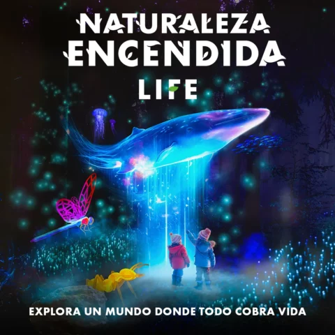 Naturaleza Encendida – Life (Madrid)